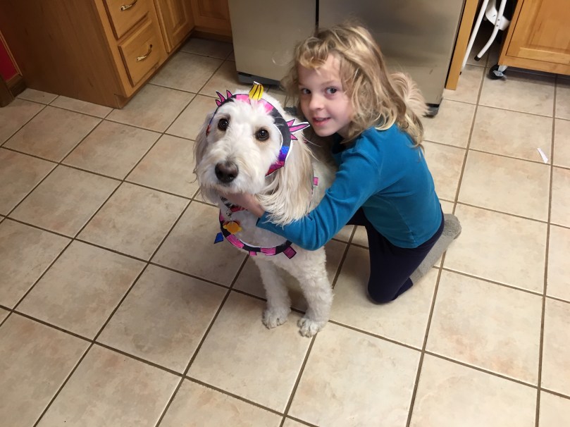 Ice Storm 03 11_15_18